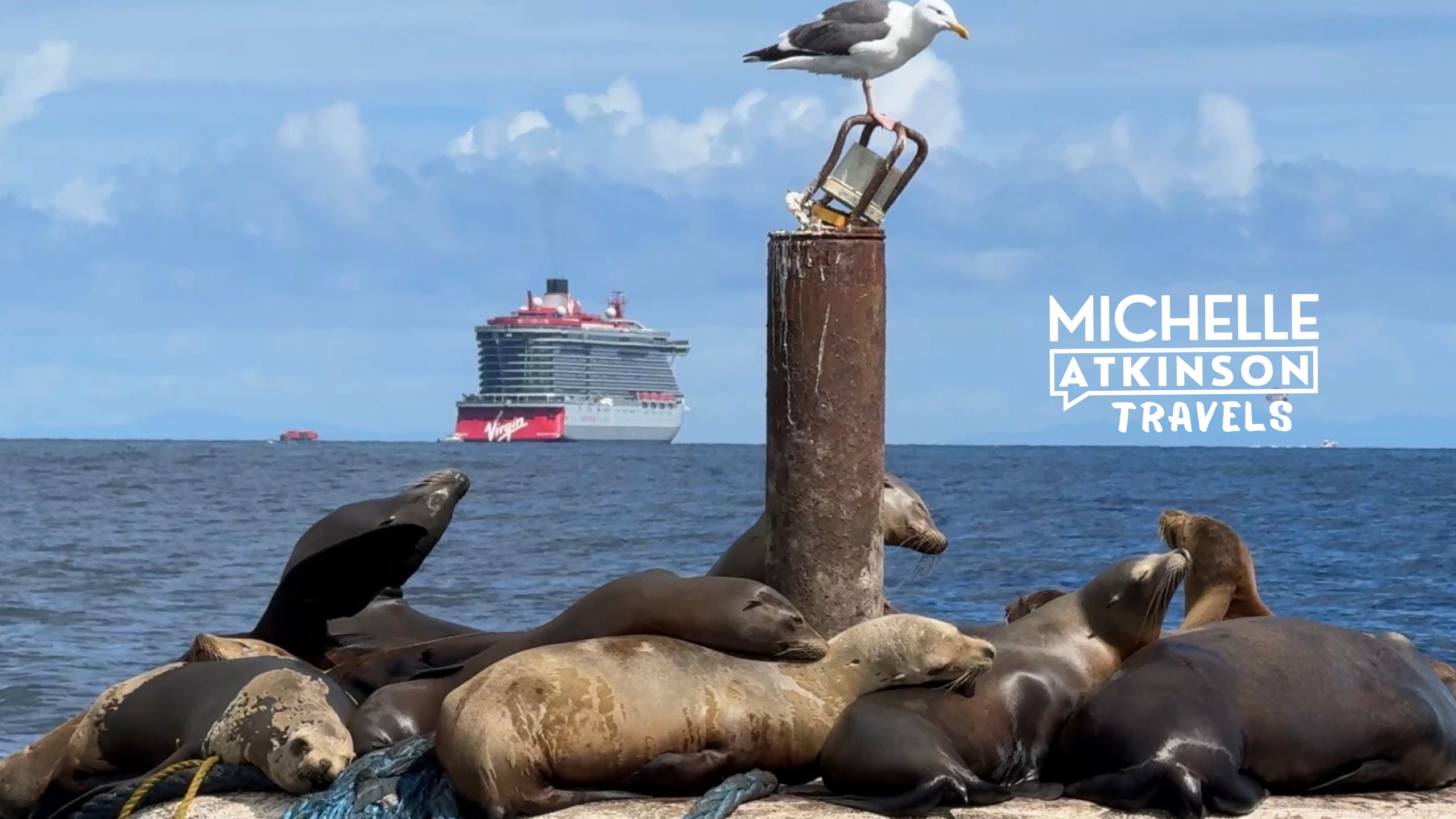 Sea lions on a dock with a cruise ship in the background