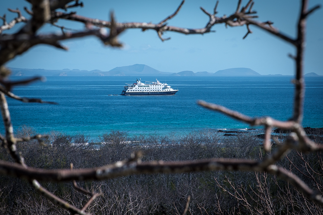 Expedition ship viewed through branches in the Galápagos